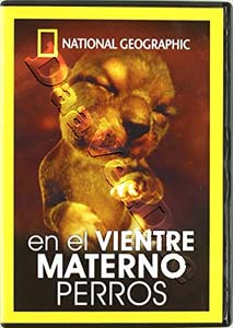 In the Maternal Womb: Dogs |   DVD